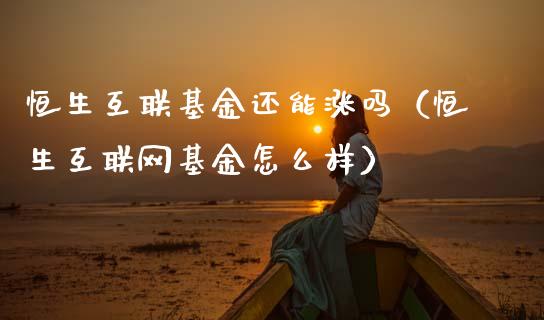 恒生互联基金还能涨吗（恒生互联网基金怎么样）_https://www.qdlswl.com_基金_第1张