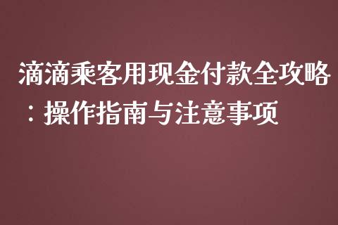 滴滴乘客用现金付款全攻略：操作指南与注意事项_https://www.qdlswl.com_基金_第1张