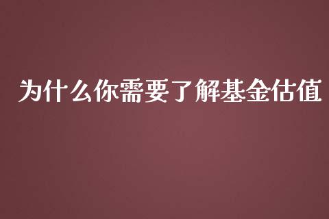为什么你需要了解基金估值_https://www.qdlswl.com_股指_第1张