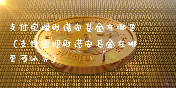 支付宝理财诺安基金在哪里（支付宝理财诺安基金在哪里可以买）_https://www.qdlswl.com_基金_第1张