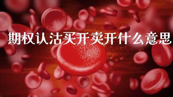 期权认沽买开卖开什么意思_https://www.qdlswl.com_股指_第1张