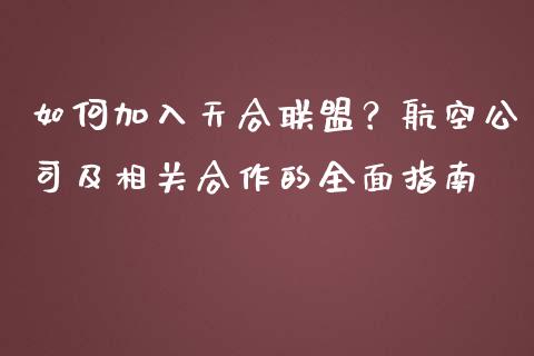 如何加入天合联盟？航空公司及相关合作的全面指南_https://www.qdlswl.com_内盘_第1张