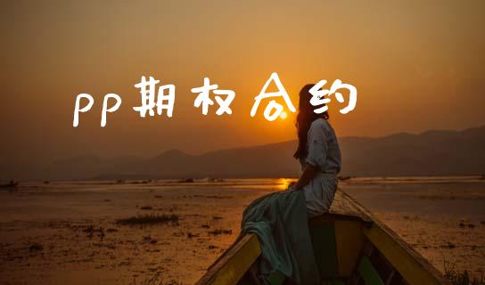 pp期权合约_https://www.qdlswl.com_直播_第1张