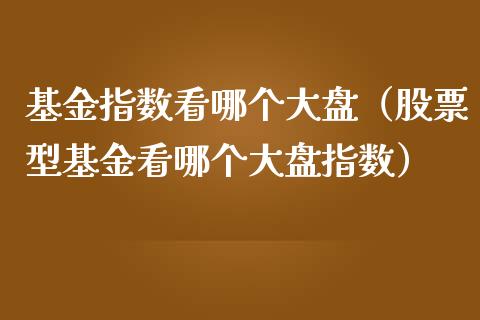 基金指数看哪个大盘（股票型基金看哪个大盘指数）_https://www.qdlswl.com_基金_第1张