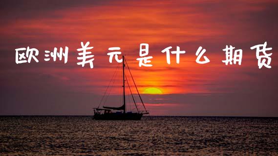 欧洲美元是什么期货_https://www.qdlswl.com_股指_第1张