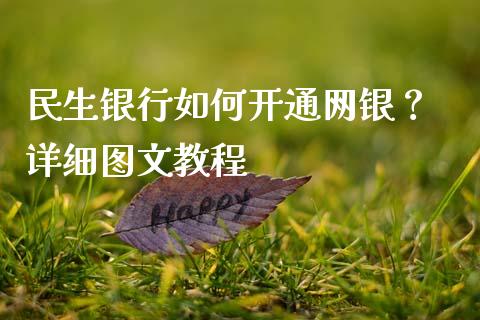 民生银行如何开通网银？ 详细图文教程_https://www.qdlswl.com_外盘_第1张