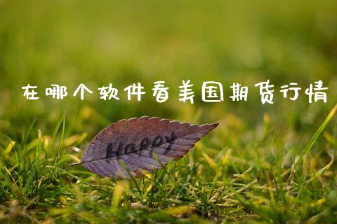 在哪个软件看美国期货行情_https://www.qdlswl.com_直播_第1张
