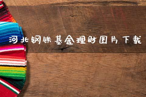 河北钢铁基金理财图片下载_https://www.qdlswl.com_理财_第1张