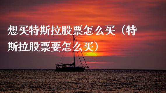 想买特斯拉股票怎么买（特斯拉股票要怎么买）_https://www.qdlswl.com_股票_第1张