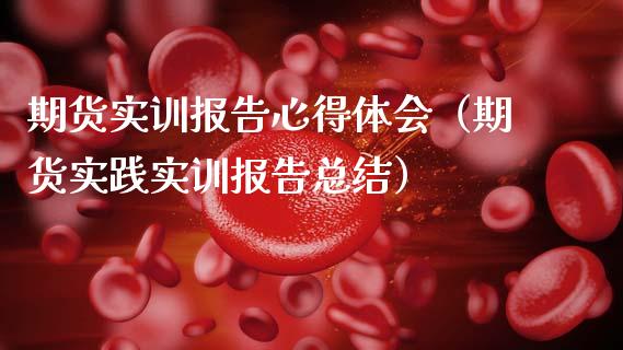 期货实训报告心得体会（期货实践实训报告总结）_https://www.qdlswl.com_内盘_第1张