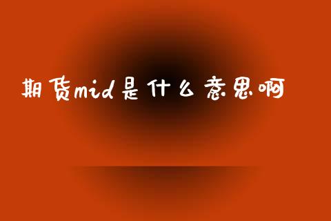 期货mid是什么意思啊_https://www.qdlswl.com_期货_第1张