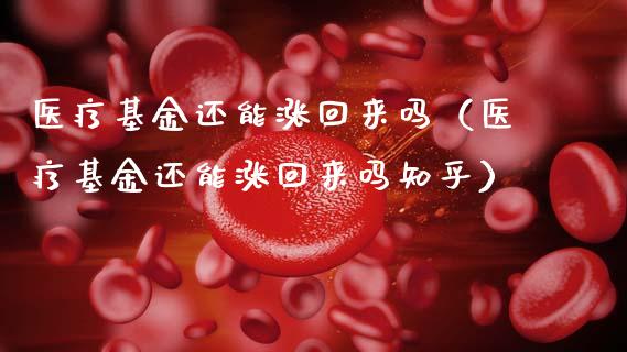 医疗基金还能涨回来吗（医疗基金还能涨回来吗知乎）_https://www.qdlswl.com_理财_第1张