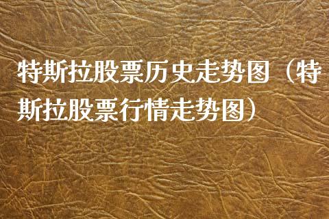 特斯拉股票历史走势图（特斯拉股票行情走势图）_https://www.qdlswl.com_股票_第1张
