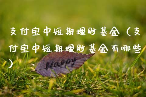 支付宝中短期理财基金（支付宝中短期理财基金有哪些）_https://www.qdlswl.com_基金_第1张