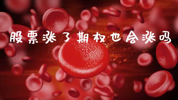 股票涨了期权也会涨吗_https://www.qdlswl.com_股票_第1张