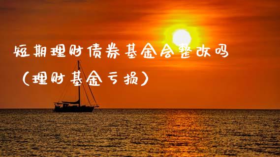 短期理财债券基金会整改吗（理财基金亏损）_https://www.qdlswl.com_基金_第1张