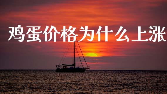 鸡蛋价格为什么上涨_https://www.qdlswl.com_期货_第1张