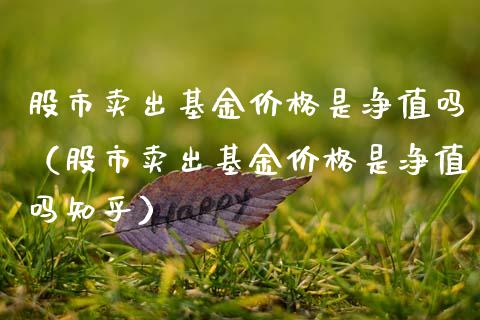 股市卖出基金价格是净值吗（股市卖出基金价格是净值吗知乎）_https://www.qdlswl.com_基金_第1张