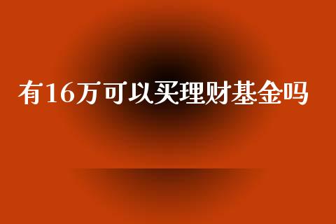 有16万可以买理财基金吗_https://www.qdlswl.com_理财_第1张