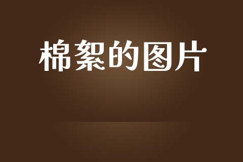 棉絮的图片_https://www.qdlswl.com_股指_第1张