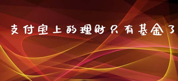 支付宝上的理财只有基金了_https://www.qdlswl.com_理财_第1张