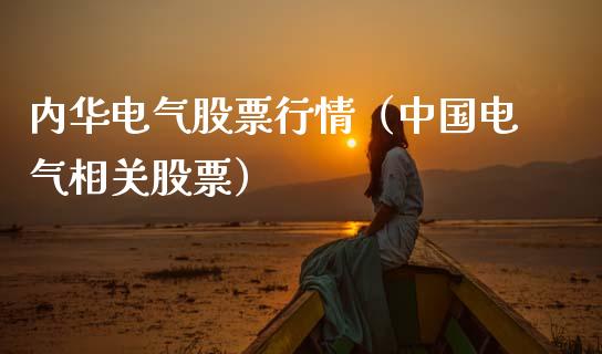 内华电气股票行情（中国电气相关股票）_https://www.qdlswl.com_外盘_第1张