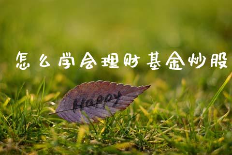 怎么学会理财基金炒股_https://www.qdlswl.com_理财_第1张