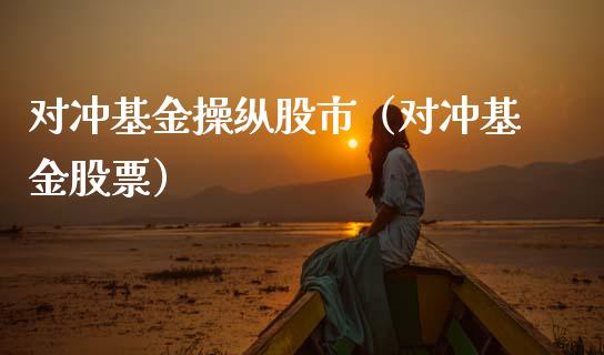 对冲基金操纵股市（对冲基金股票）_https://www.qdlswl.com_基金_第1张