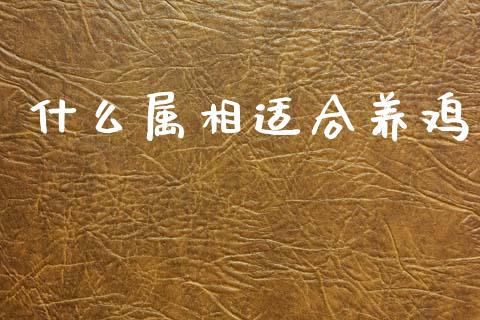 什么属相适合养鸡_https://www.qdlswl.com_期货_第1张