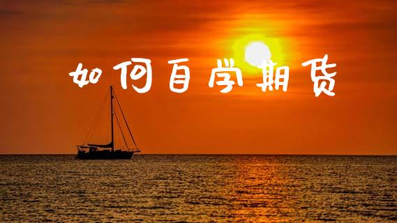 如何自学期货_https://www.qdlswl.com_股指_第1张