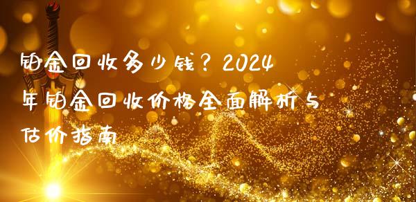 铂金回收多少钱？2024年铂金回收价格全面解析与估价指南_https://www.qdlswl.com_内盘_第1张