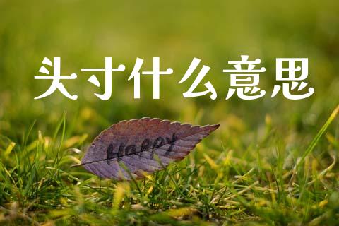 头寸什么意思_https://www.qdlswl.com_直播_第1张