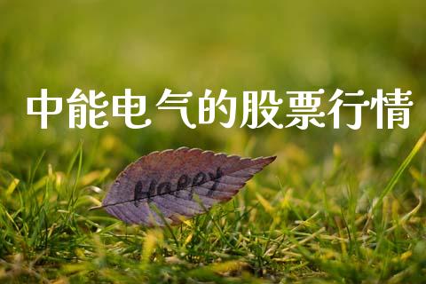 中能电气的股票行情_https://www.qdlswl.com_股票_第1张