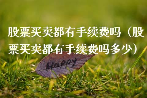 股票买卖都有手续费吗（股票买卖都有手续费吗多少）_https://www.qdlswl.com_股票_第1张