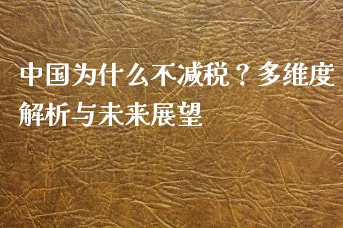 中国为什么不减税？多维度解析与未来展望_https://www.qdlswl.com_理财_第1张