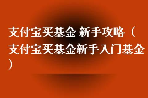 支付宝买基金 新手攻略（支付宝买基金新手入门基金）_https://www.qdlswl.com_基金_第1张