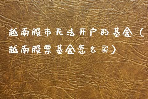 越南股市无法开户的基金（越南股票基金怎么买）_https://www.qdlswl.com_理财_第1张
