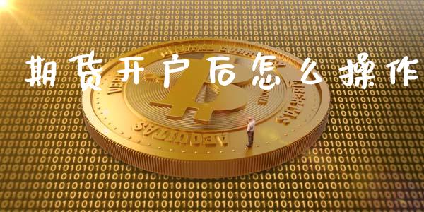 期货开户后怎么操作_https://www.qdlswl.com_基金_第1张