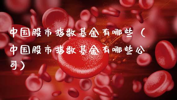 中国股市指数基金有哪些（中国股市指数基金有哪些公司）_https://www.qdlswl.com_基金_第1张