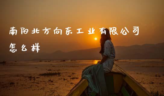 南阳北方向东工业有限公司怎么样_https://www.qdlswl.com_股指_第1张