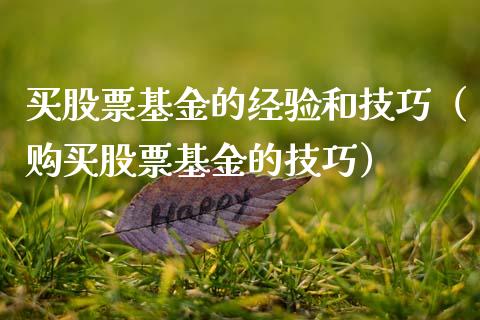 买股票基金的经验和技巧（购买股票基金的技巧）_https://www.qdlswl.com_外盘_第1张