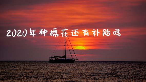 2020年种棉花还有补贴吗_https://www.qdlswl.com_期货_第1张