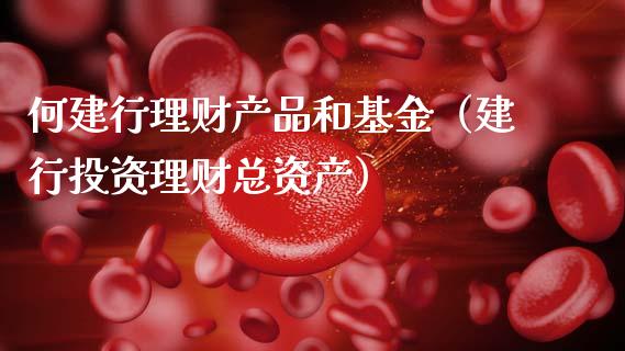 何建行理财产品和基金（建行投资理财总资产）_https://www.qdlswl.com_基金_第1张