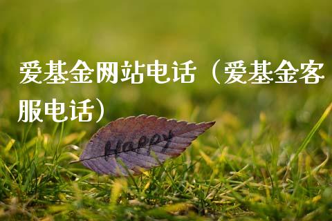 爱基金网站电话（爱基金客服电话）_https://www.qdlswl.com_基金_第1张