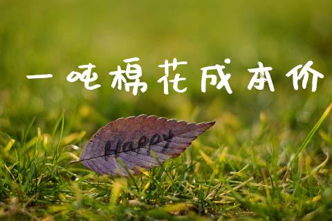 一吨棉花成本价_https://www.qdlswl.com_股指_第1张