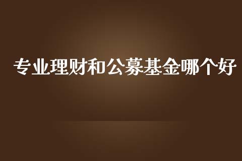 专业理财和公募基金哪个好_https://www.qdlswl.com_基金_第1张