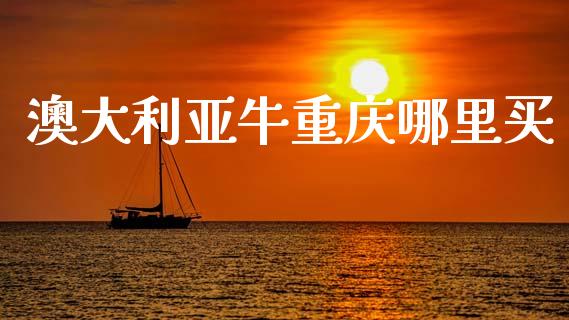 澳大利亚牛重庆哪里买_https://www.qdlswl.com_理财_第1张
