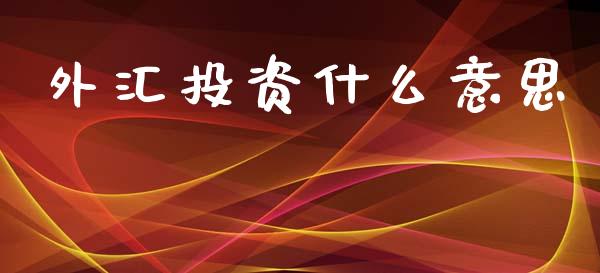 外汇投资什么意思_https://www.qdlswl.com_期货_第1张
