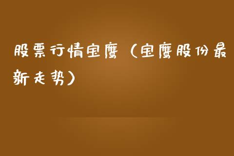股票行情宝鹰（宝鹰股份最新走势）_https://www.qdlswl.com_外盘_第1张