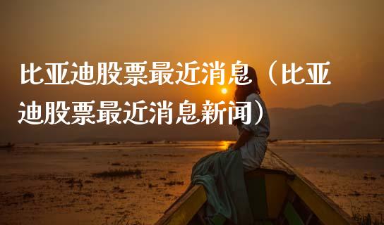 比亚迪股票最近消息（比亚迪股票最近消息新闻）_https://www.qdlswl.com_股票_第1张